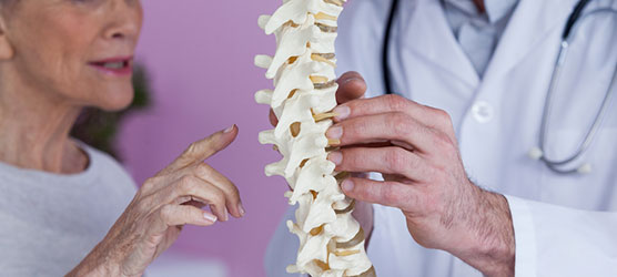 Training-of-a-Chiropractor.jpg Training of a Chiropractor