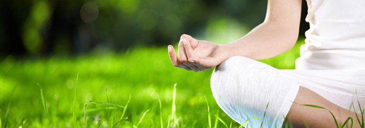 Sebring Chiropractor Talks about Wellness Care Sebring Chiropractor Talks about Wellness Care