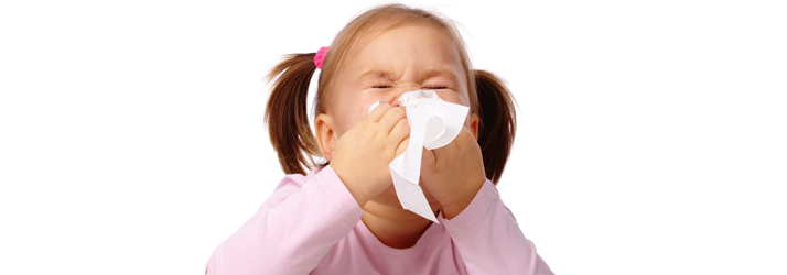 Seasonal Allergies And Chiropractic Care