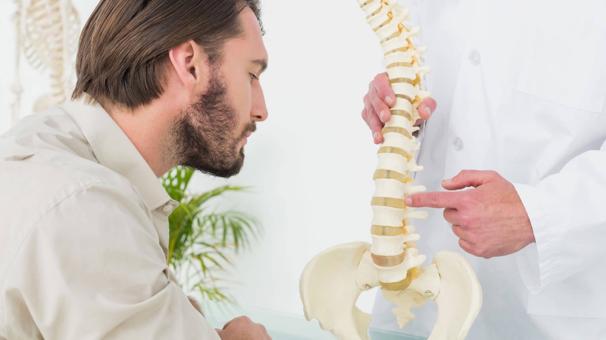 Chiropractor