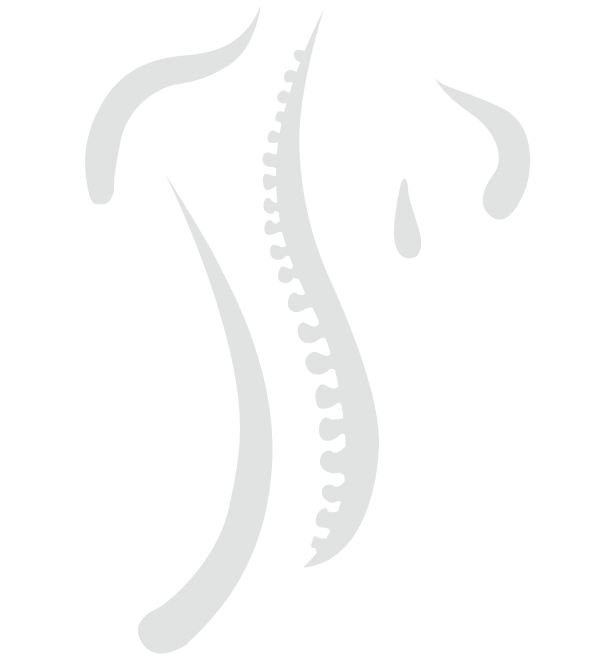 spine graphic