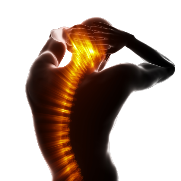 spine in pain spine in pain