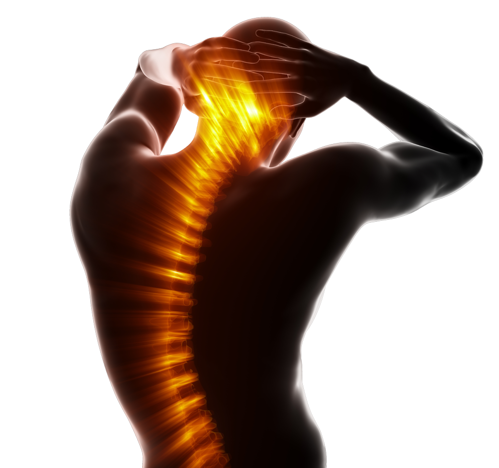 cut out spine cut out spine