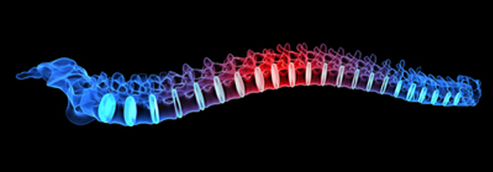 Achieve a Healthier Spine in Austin Achieve a Healthier Spine in Austin