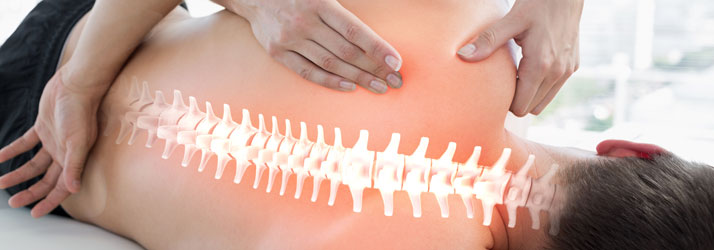Louisville Chiropractors May Help Scoliosis