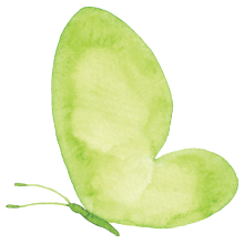 green-butterfly.png