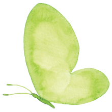green-butterfly.png green-butterfly.png