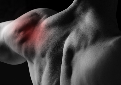 Shoulder-Pain-Hero-Nollie-2.0-IP.jpg Shoulder-Pain-Hero-Nollie-2.0-IP.jpg