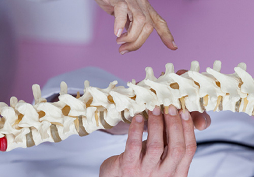 Spine-Diagram-Hero-Nollie-2.0-Blogs-B1.jpg Spine-Diagram-Hero-Nollie-2.0-Blogs-B1.jpg