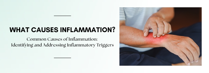 What Causes Inflammation in CITY* STATE*