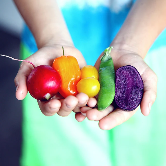 Chiropractic-Healthy-Fruits-And-Vegetables-640x640-HP-Moto.webp