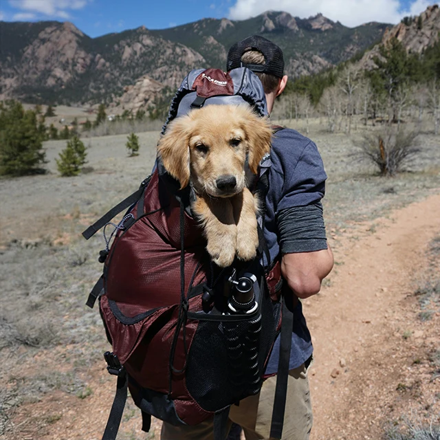 Chiropractic-Man-Out-For-A-Hike-With-His-Puppy-In-A-Backpack-640x640-HP-Moto.webp Chiropractic-Man-Out-For-A-Hike-With-His-Puppy-In-A-Backpack-640x640-HP-Moto.webp