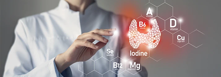 Doctor highlighting thyroid health and nutrients in functional medicine treatment